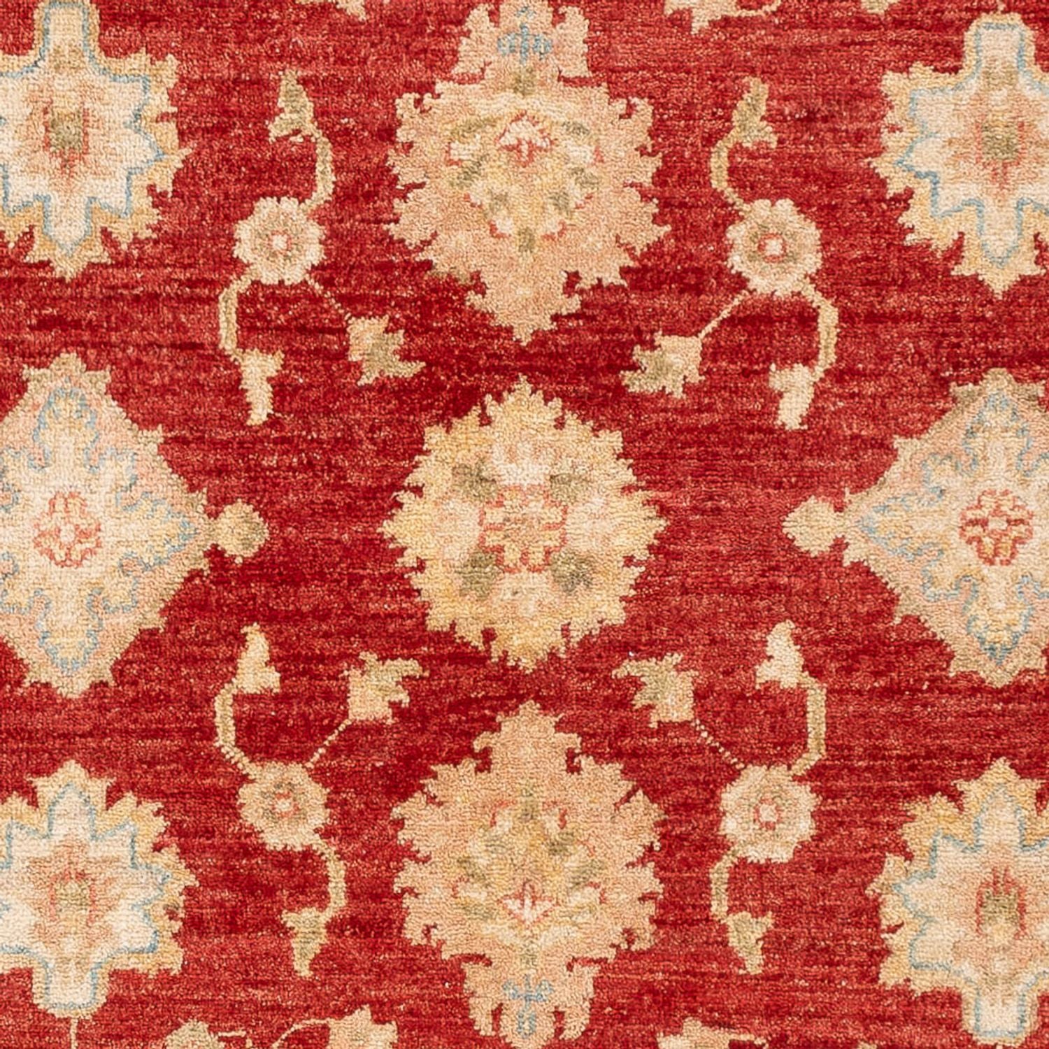 Ziegler Carpet - 151 x 102 cm - rød