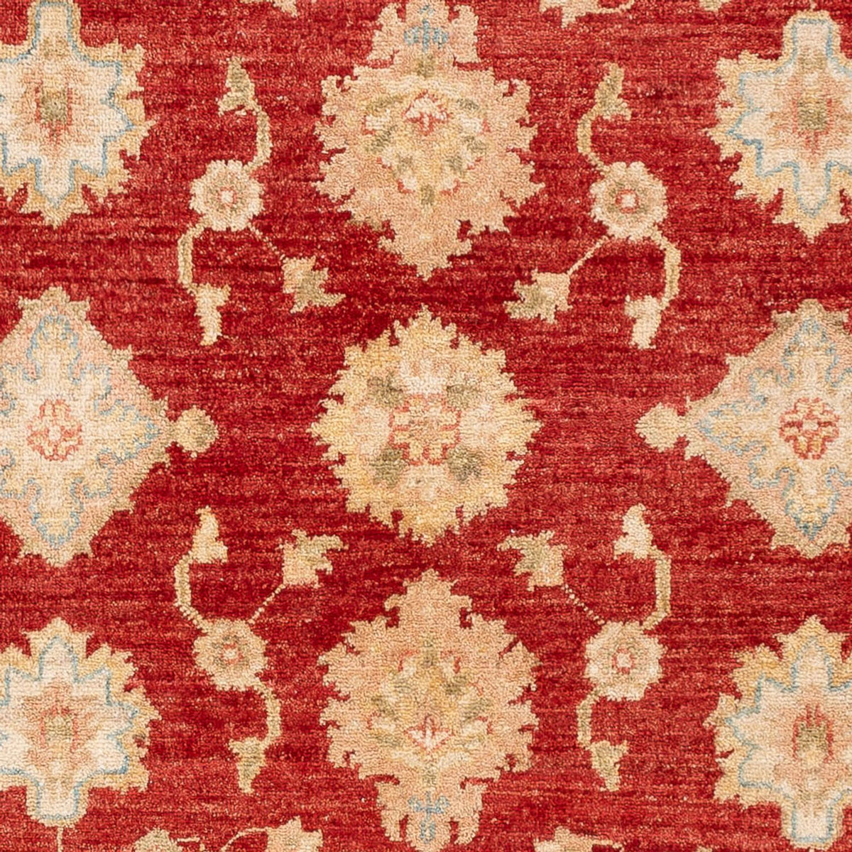 Ziegler Carpet - 151 x 102 cm - rød