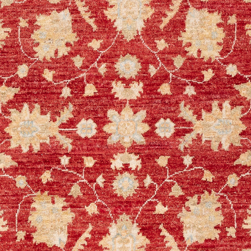 Ziegler Carpet - 148 x 98 cm - rød