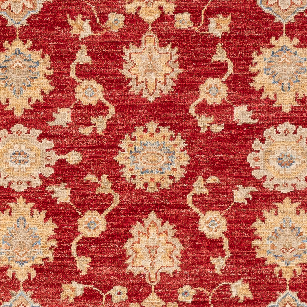 Ziegler Carpet - 143 x 100 cm - rød