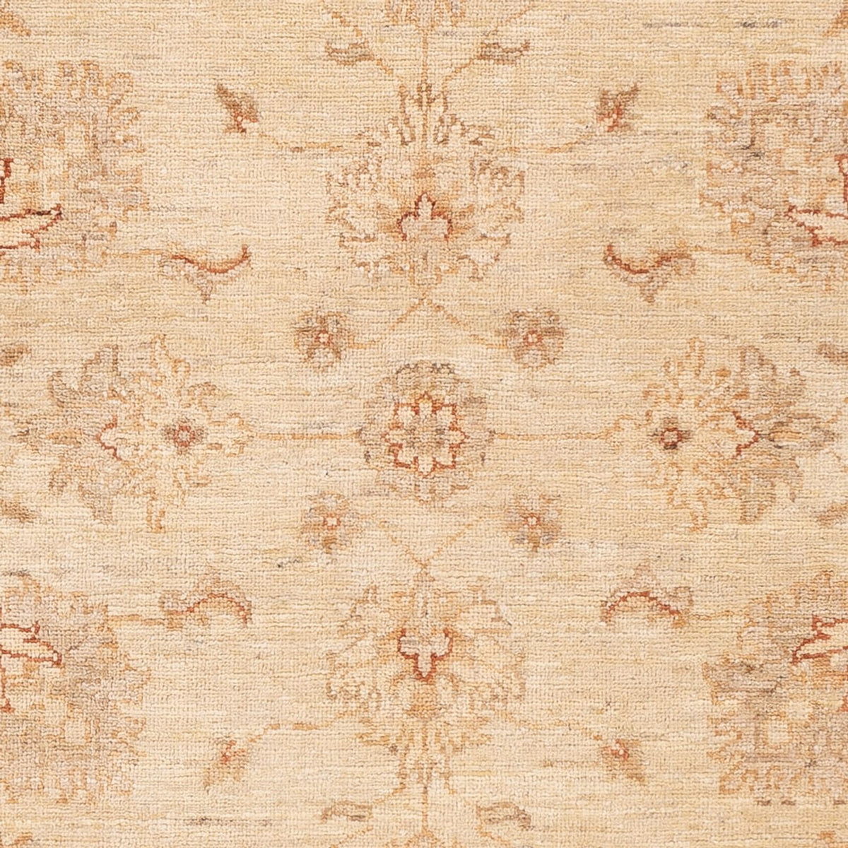 Ziegler Carpet - 152 x 100 cm - lys beige