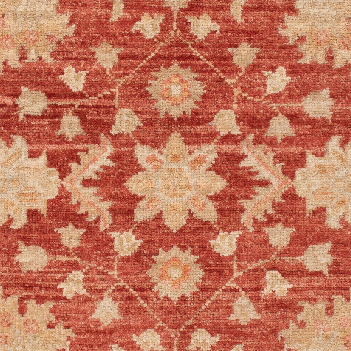 Ziegler Carpet - 125 x 80 cm - mørkerød