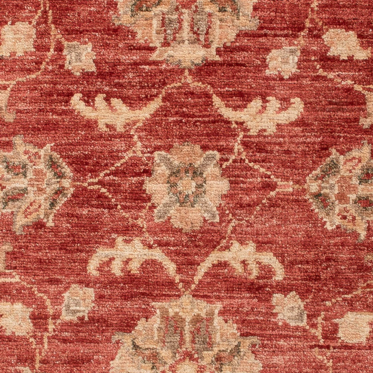 Ziegler Carpet - 122 x 84 cm - rød