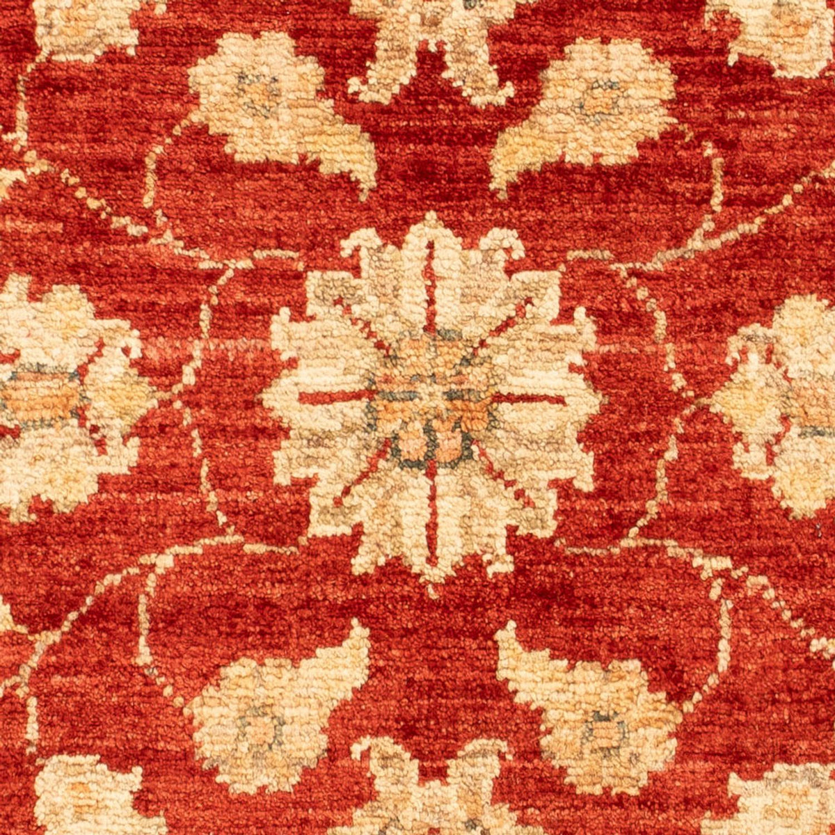 Ziegler Carpet - 87 x 60 cm - rød