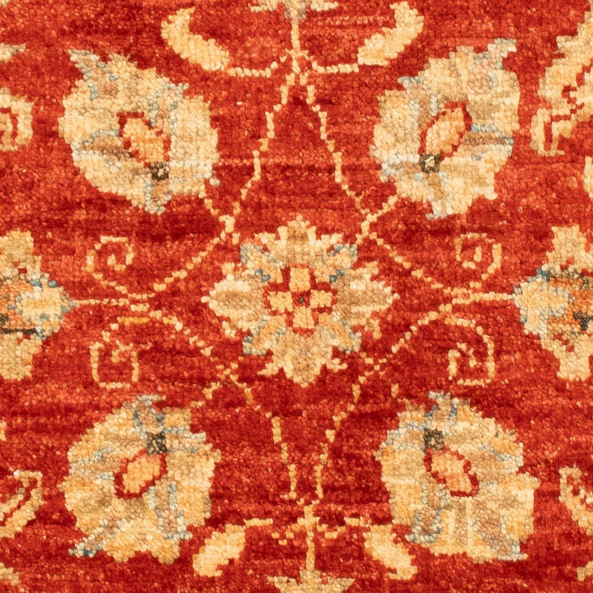 Ziegler Carpet - 87 x 61 cm - rød