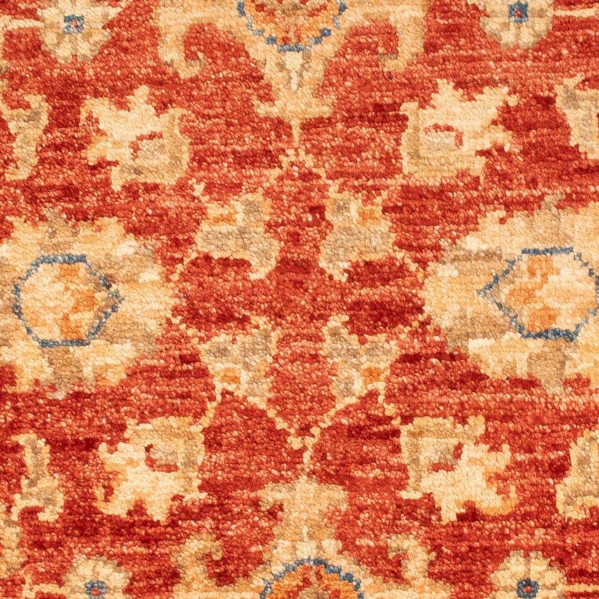 Ziegler Carpet - 88 x 58 cm - rød