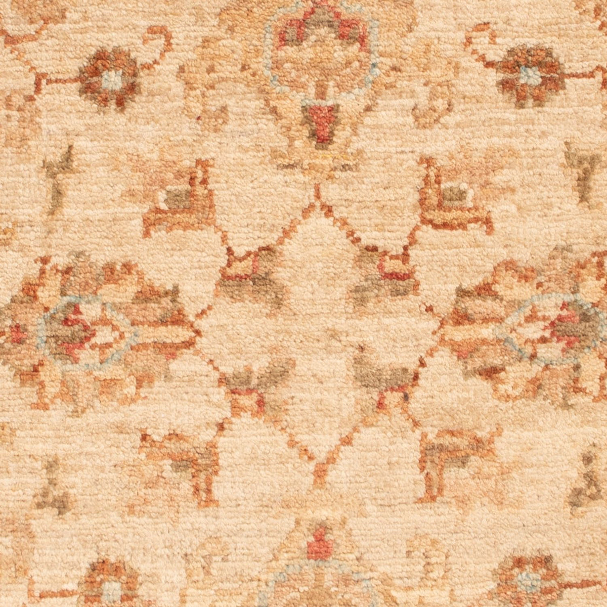 Ziegler Carpet - 80 x 59 cm - beige
