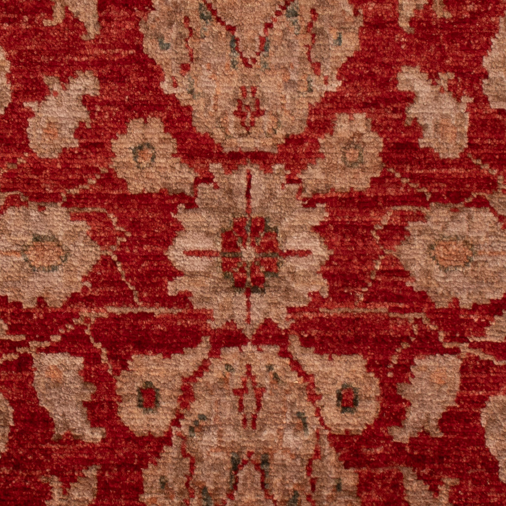 Ziegler Carpet - 88 x 59 cm - rød