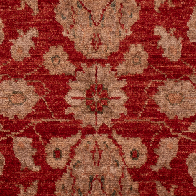 Ziegler Carpet - 88 x 59 cm - rød