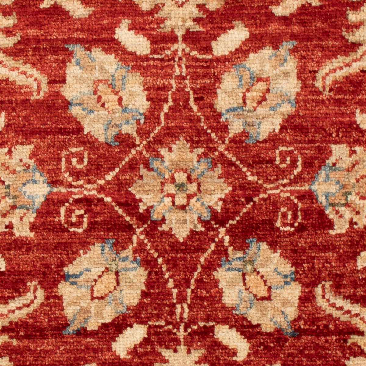 Ziegler Carpet - 86 x 60 cm - rød