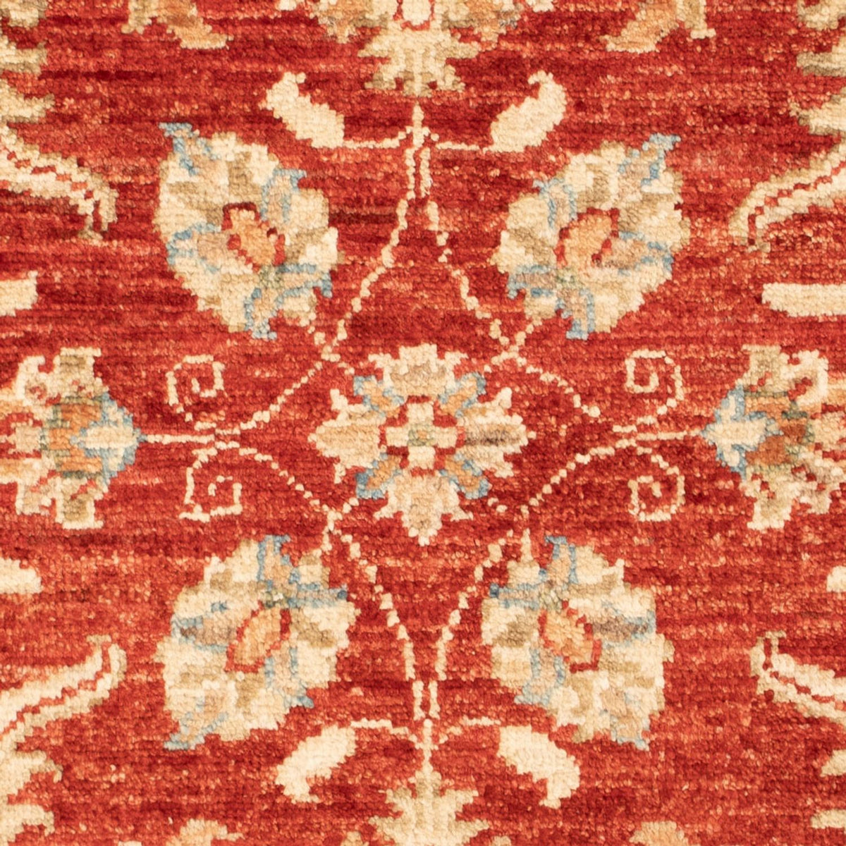 Ziegler Carpet - 90 x 63 cm - rød