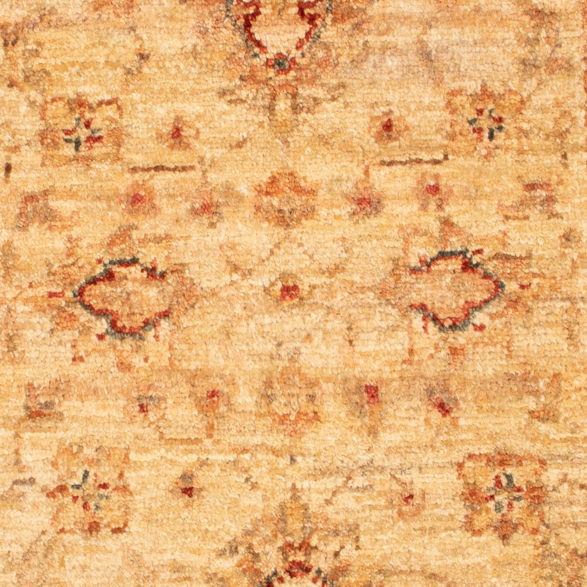 Ziegler Carpet - 88 x 61 cm - beige