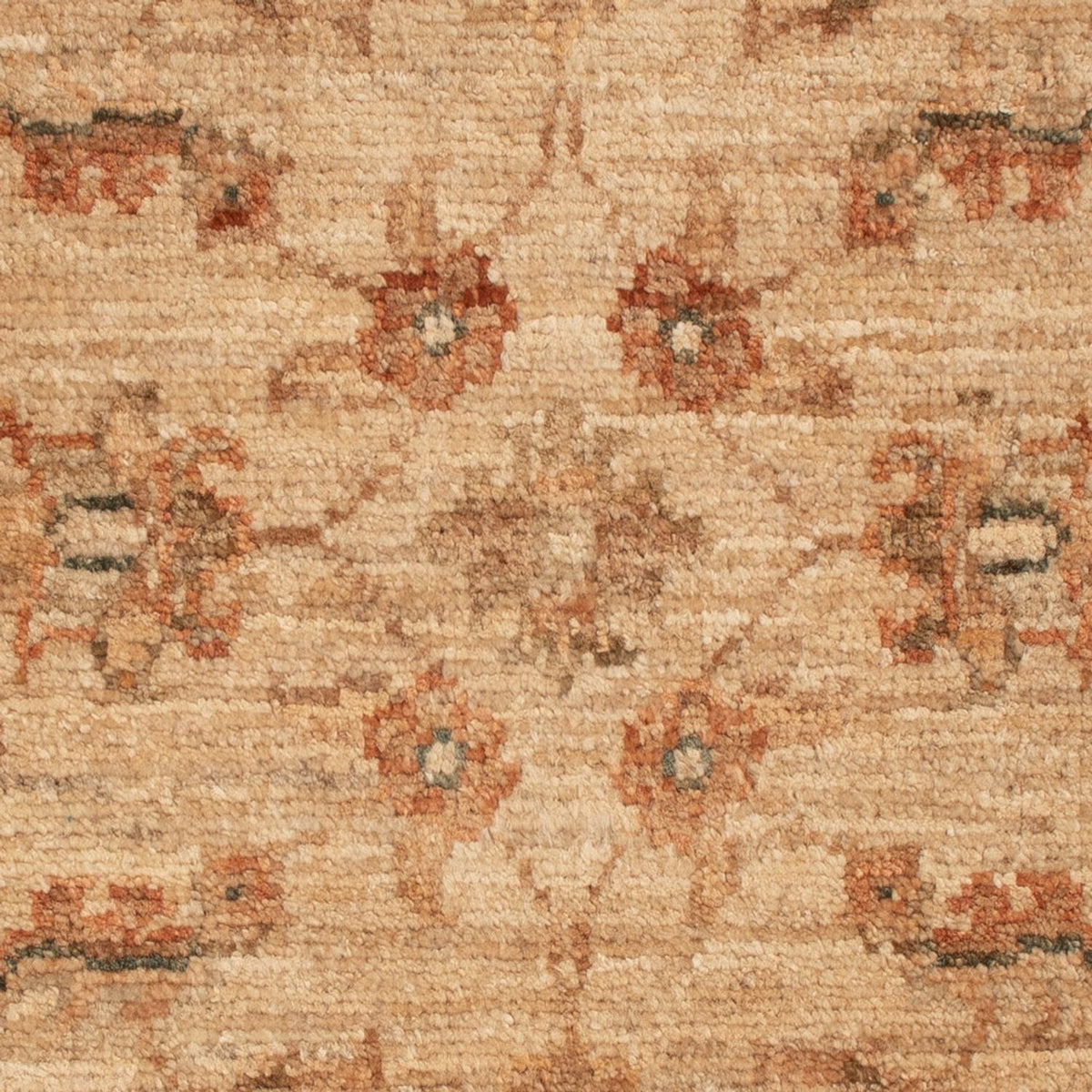 Ziegler Carpet firkantet  - 71 x 51 cm - beige