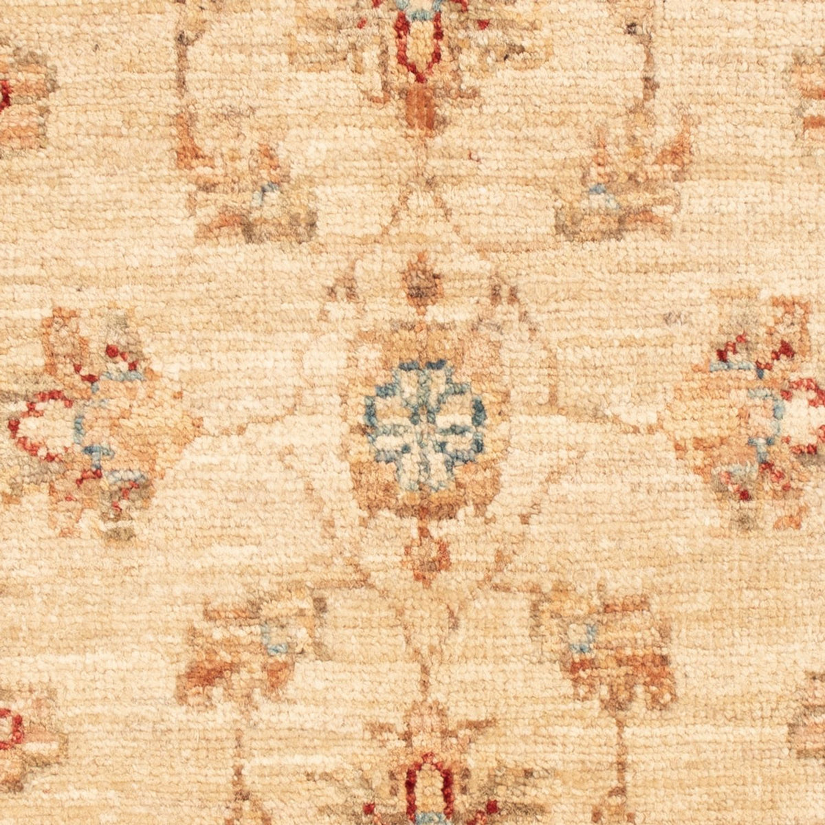 Ziegler Carpet - 70 x 56 cm - beige