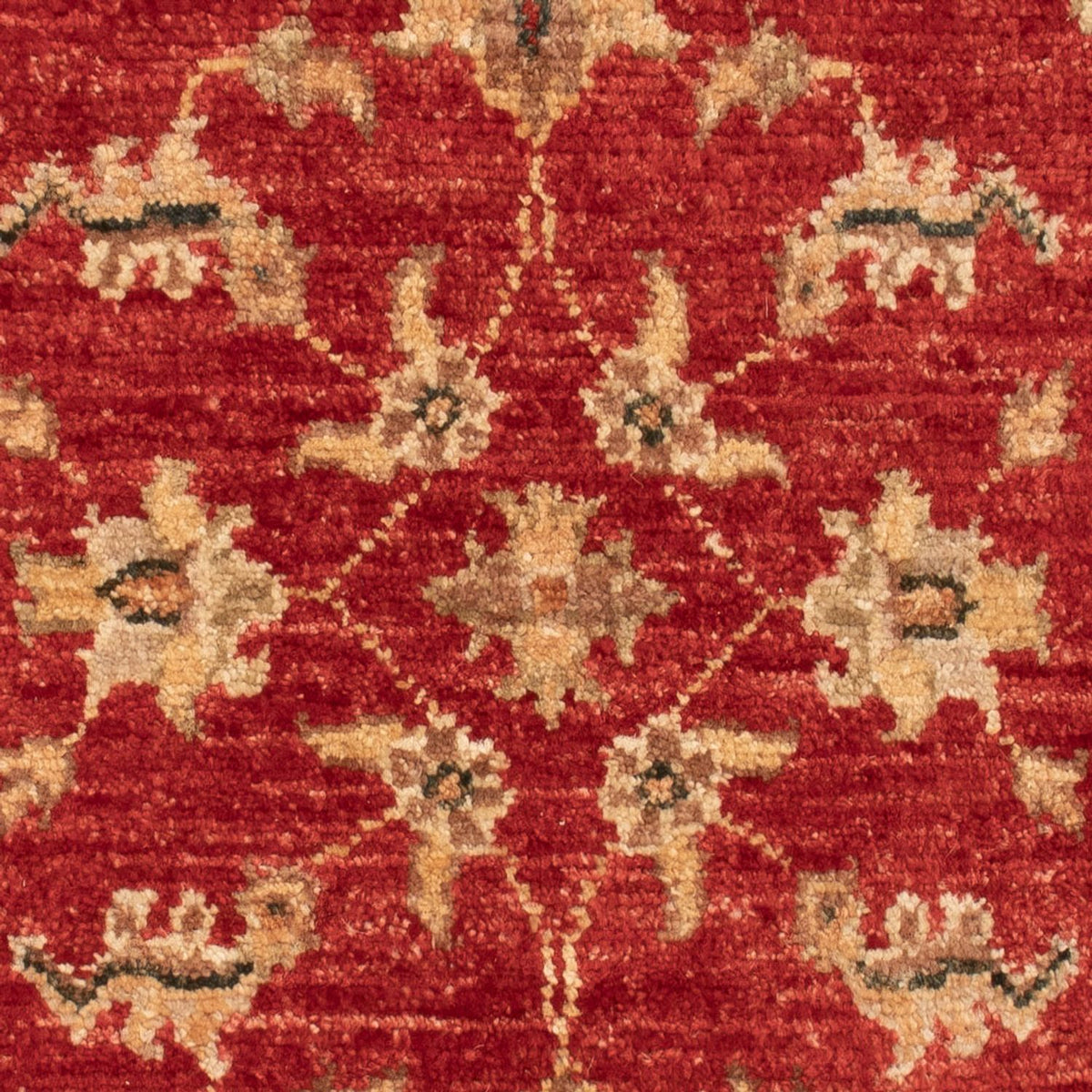 Ziegler Carpet - 74 x 53 cm - rød