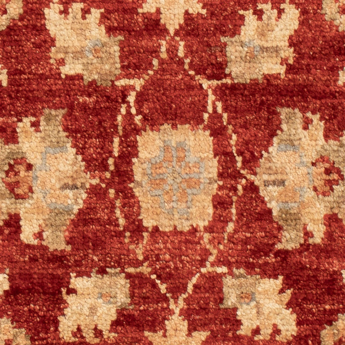 Ziegler Carpet - 67 x 47 cm - rød