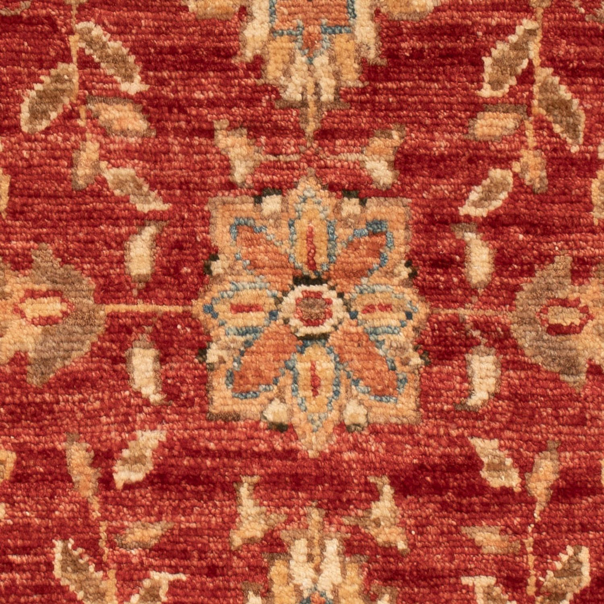 Ziegler Carpet - 72 x 52 cm - rød