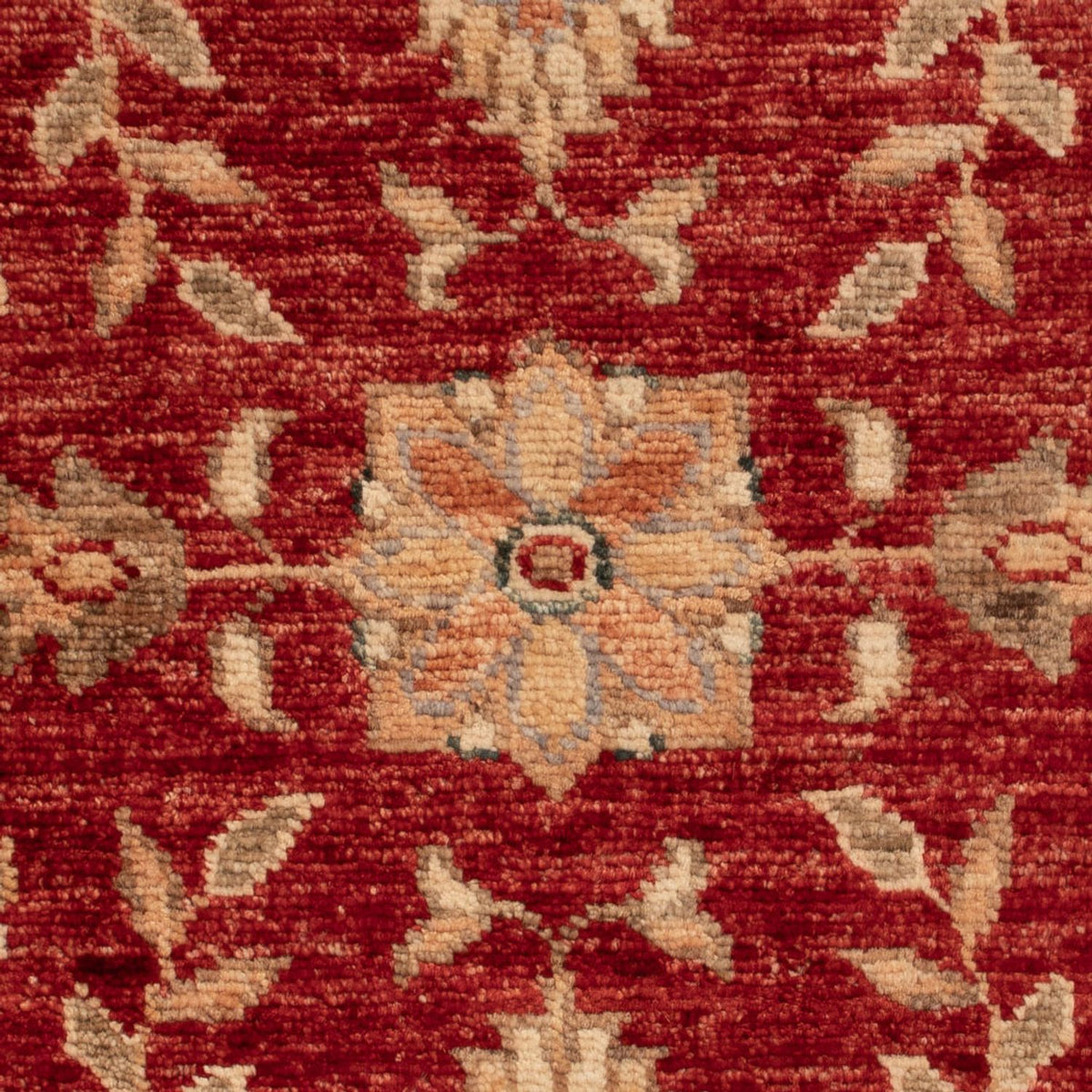 Ziegler Carpet - 66 x 52 cm - rød