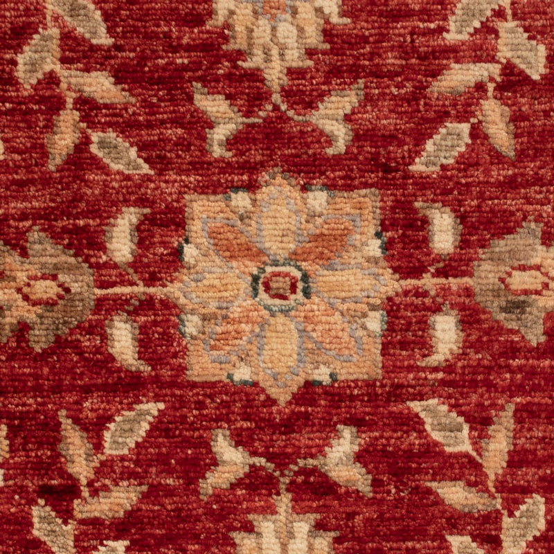 Ziegler Carpet - 66 x 52 cm - rød