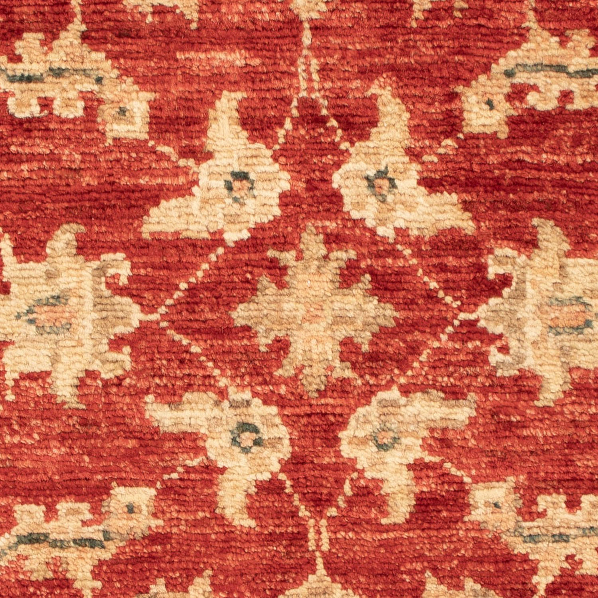 Ziegler Carpet - 71 x 52 cm - rød