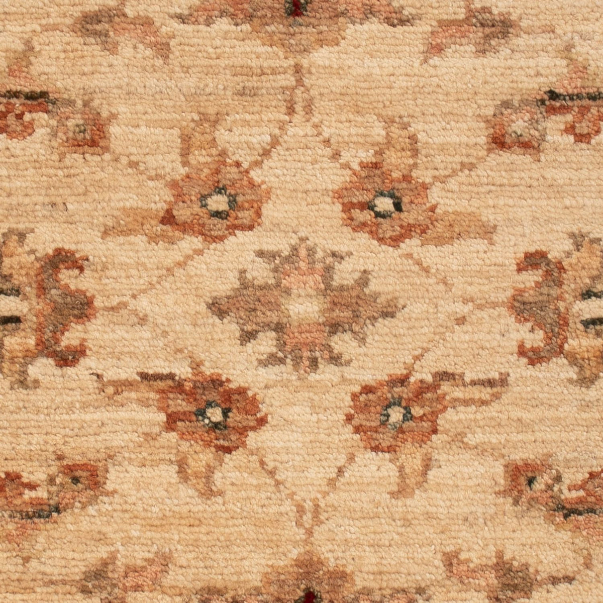 Ziegler Carpet - 65 x 55 cm - beige