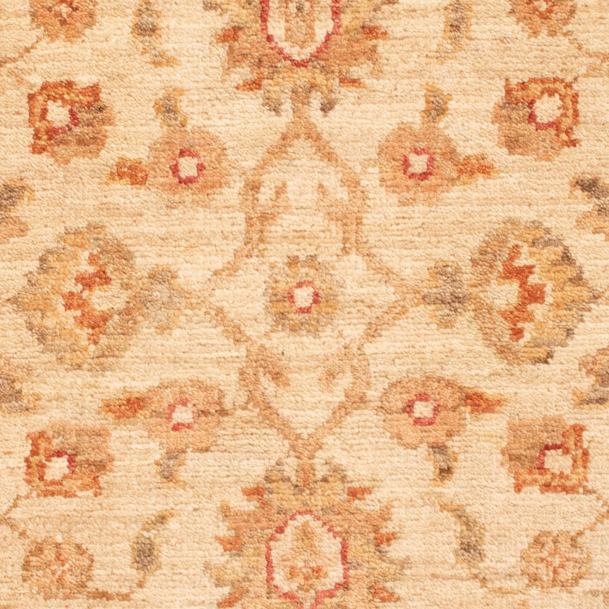Ziegler Carpet - 88 x 60 cm - beige