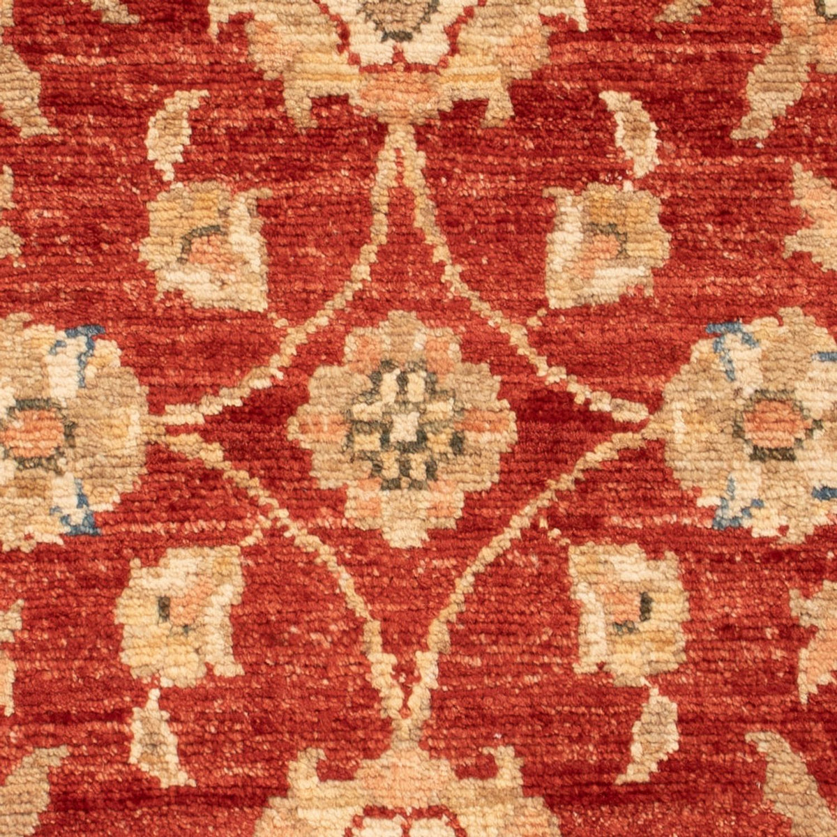 Ziegler Carpet - 73 x 54 cm - bordeaux rød