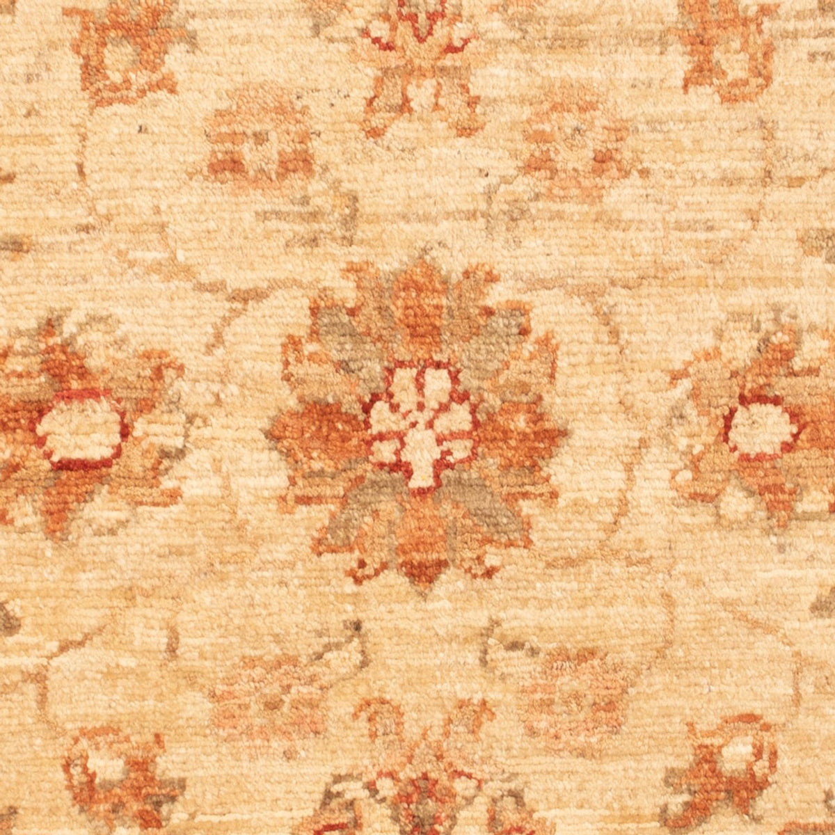 Ziegler Carpet - 90 x 61 cm - beige