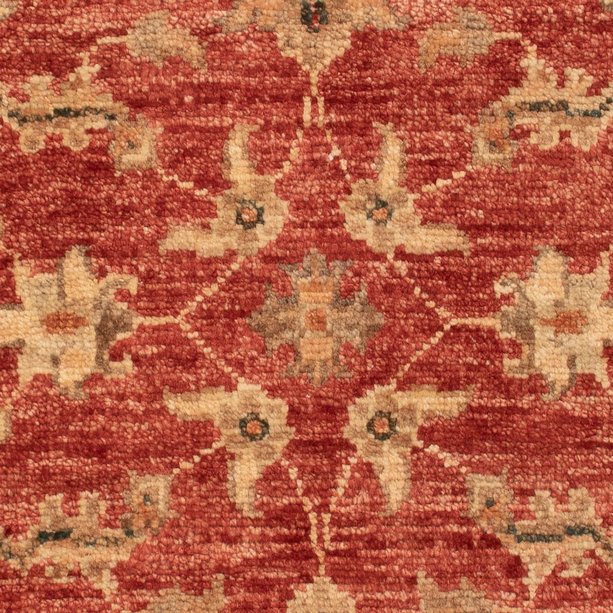 Ziegler Carpet - 74 x 50 cm - rød