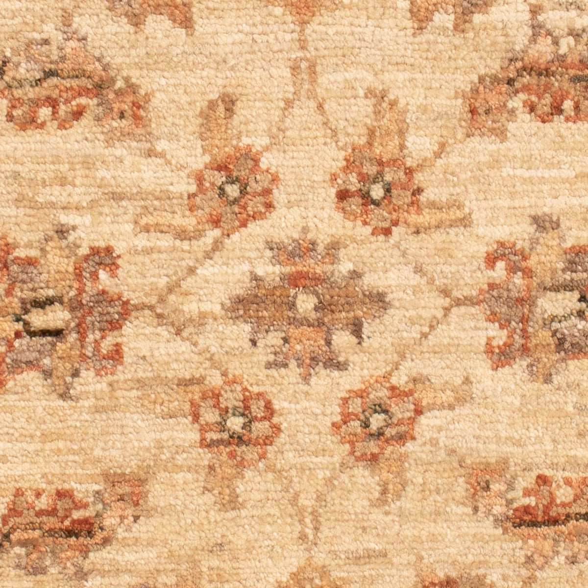 Ziegler Carpet - 72 x 54 cm - beige