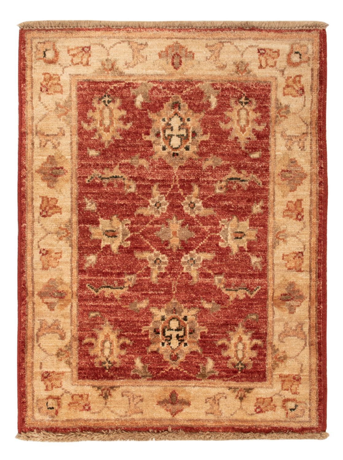 Ziegler Carpet - 67 x 50 cm - rød