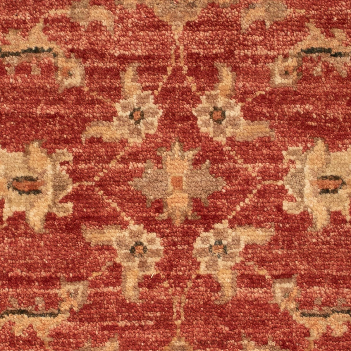 Ziegler Carpet - 67 x 50 cm - rød