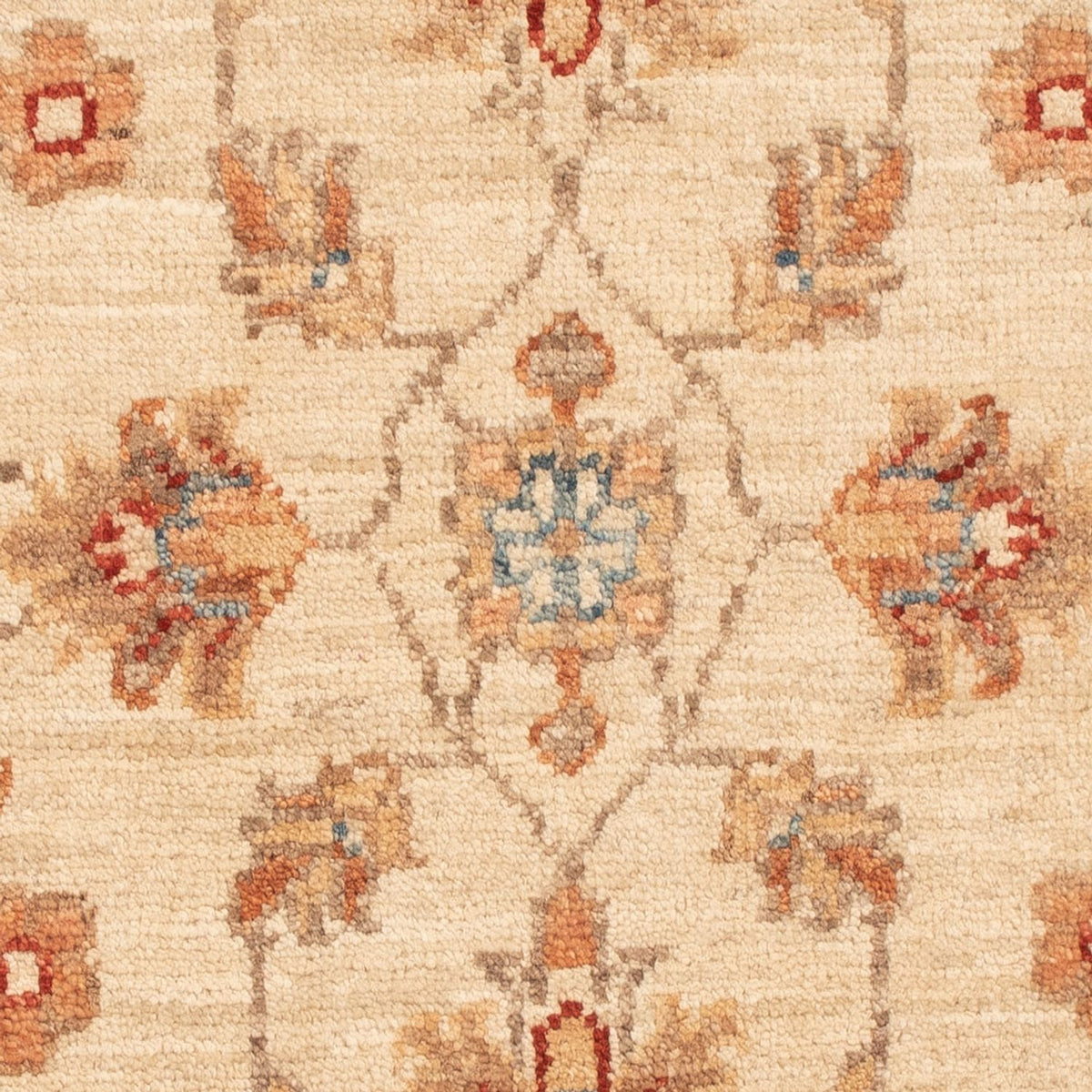 Ziegler Carpet - 70 x 51 cm - beige