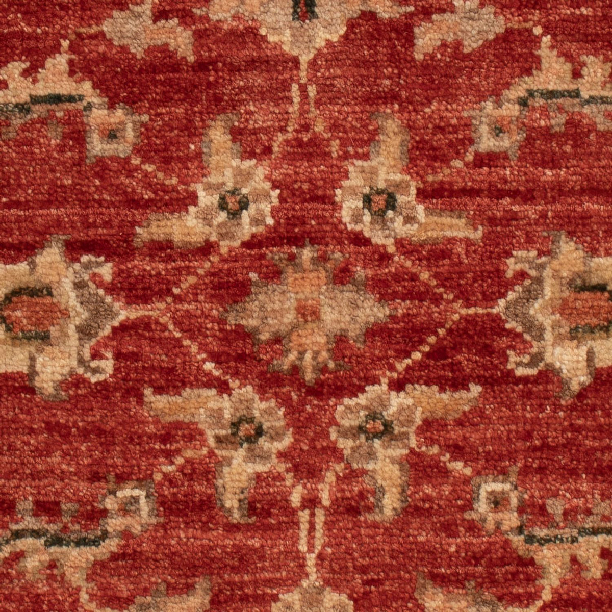 Ziegler Carpet - 63 x 52 cm - rød