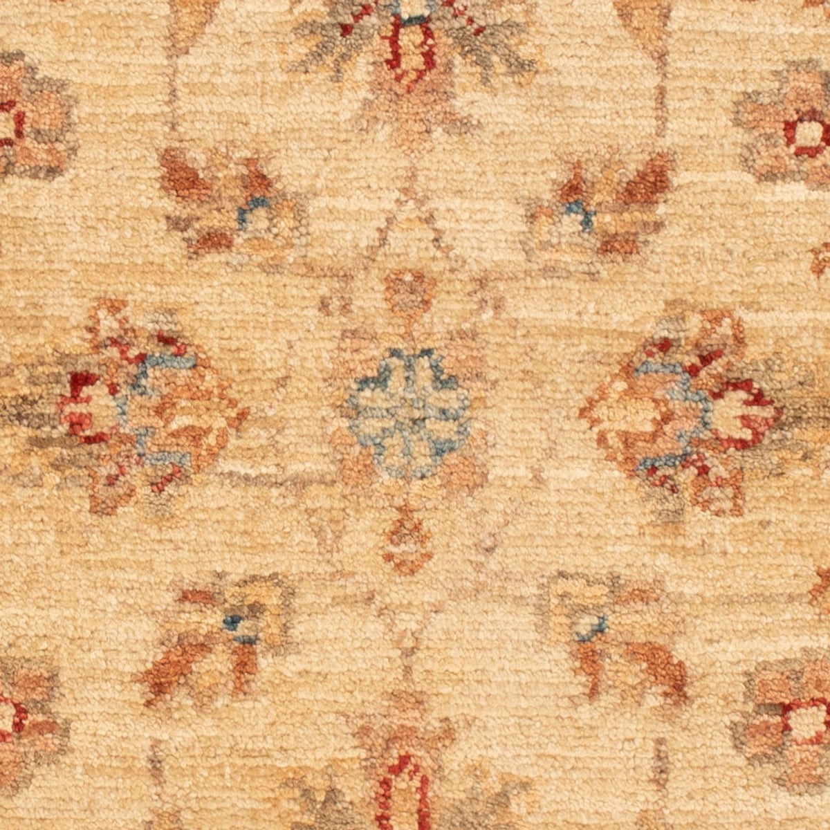 Ziegler Carpet - 65 x 48 cm - beige