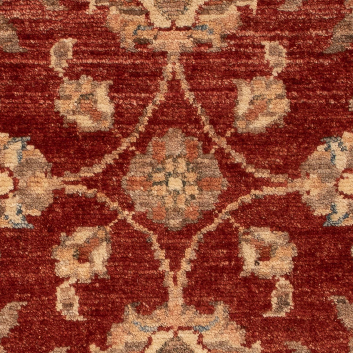 Ziegler Carpet - 63 x 53 cm - rød