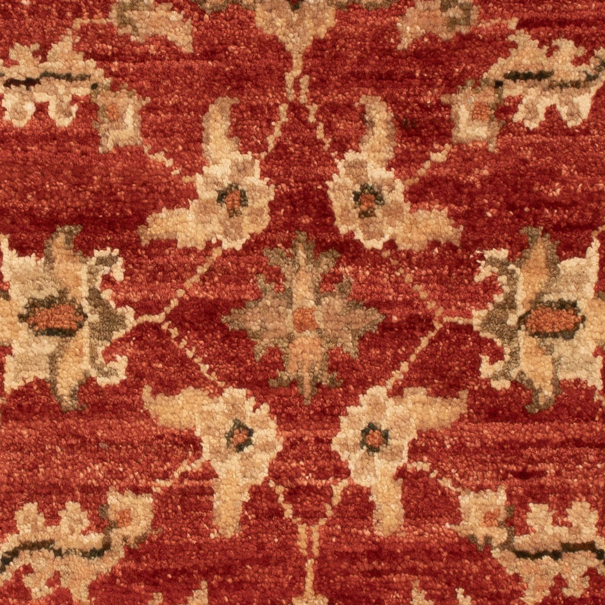 Ziegler Carpet - 68 x 48 cm - rød