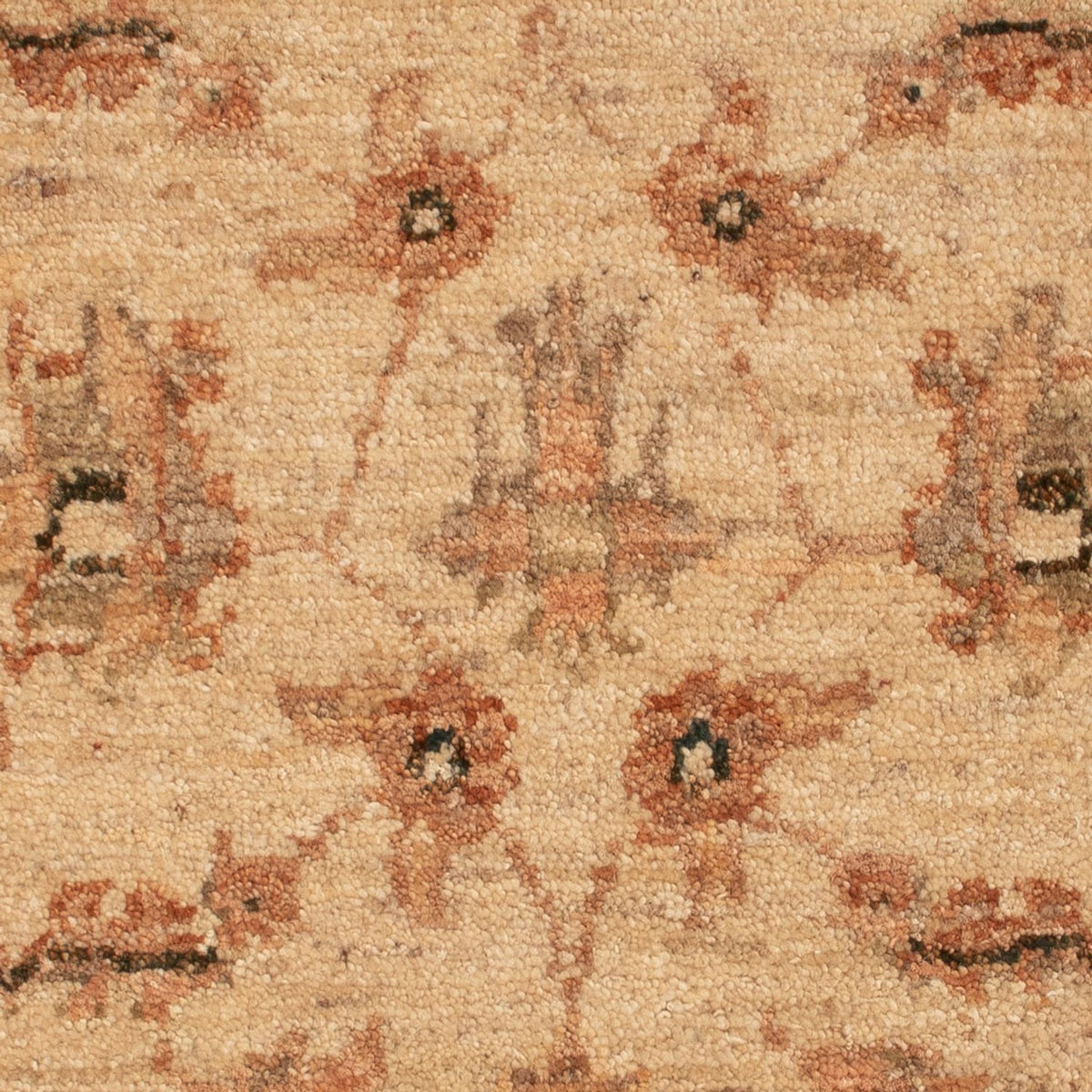 Ziegler Carpet - 73 x 53 cm - beige