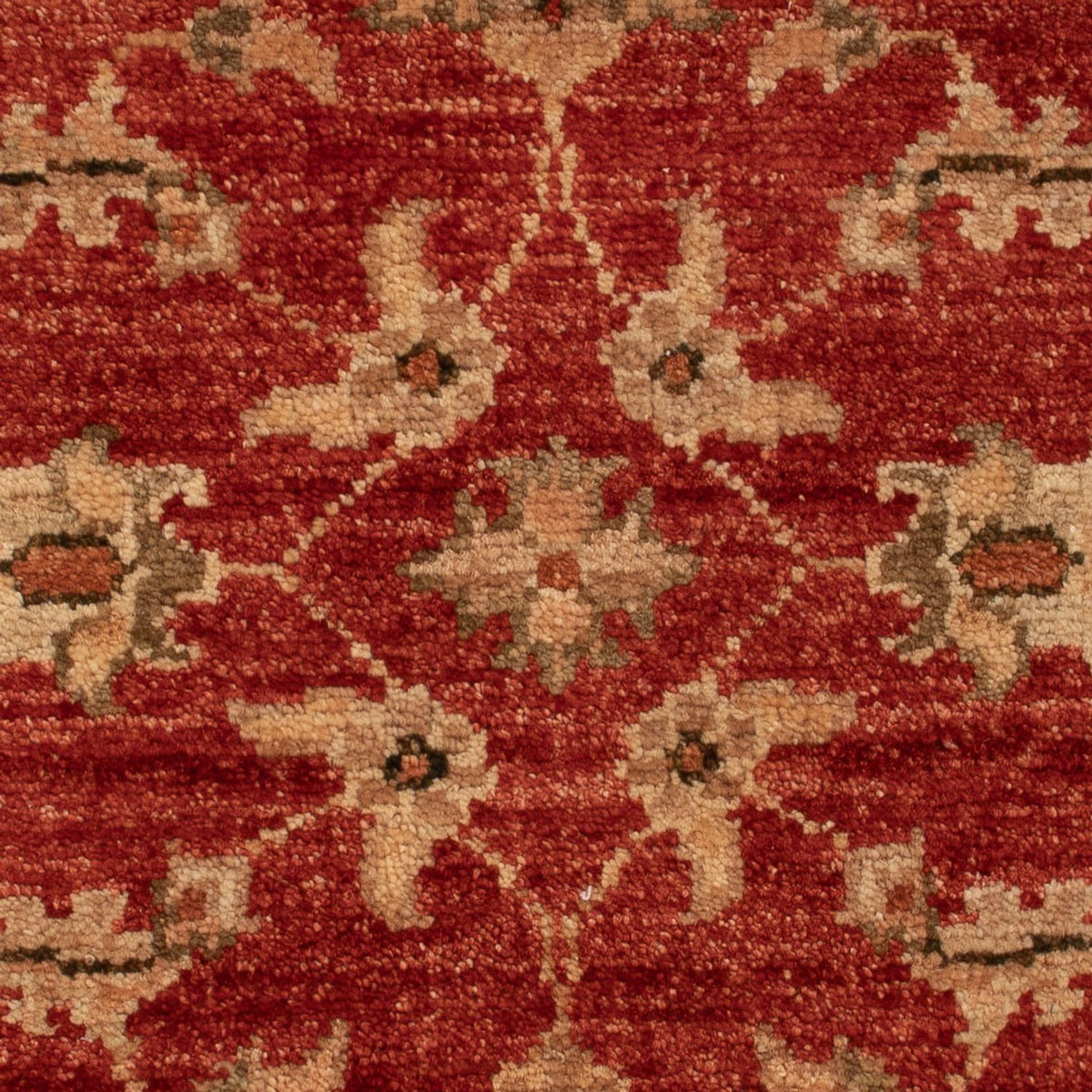 Ziegler Carpet - 67 x 49 cm - rød