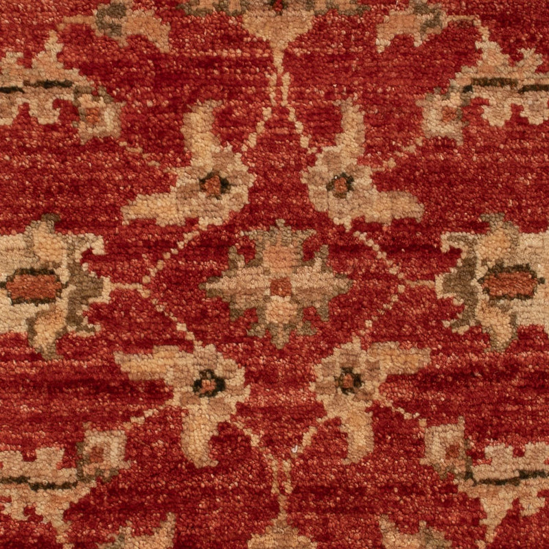 Ziegler Carpet - 67 x 49 cm - rød