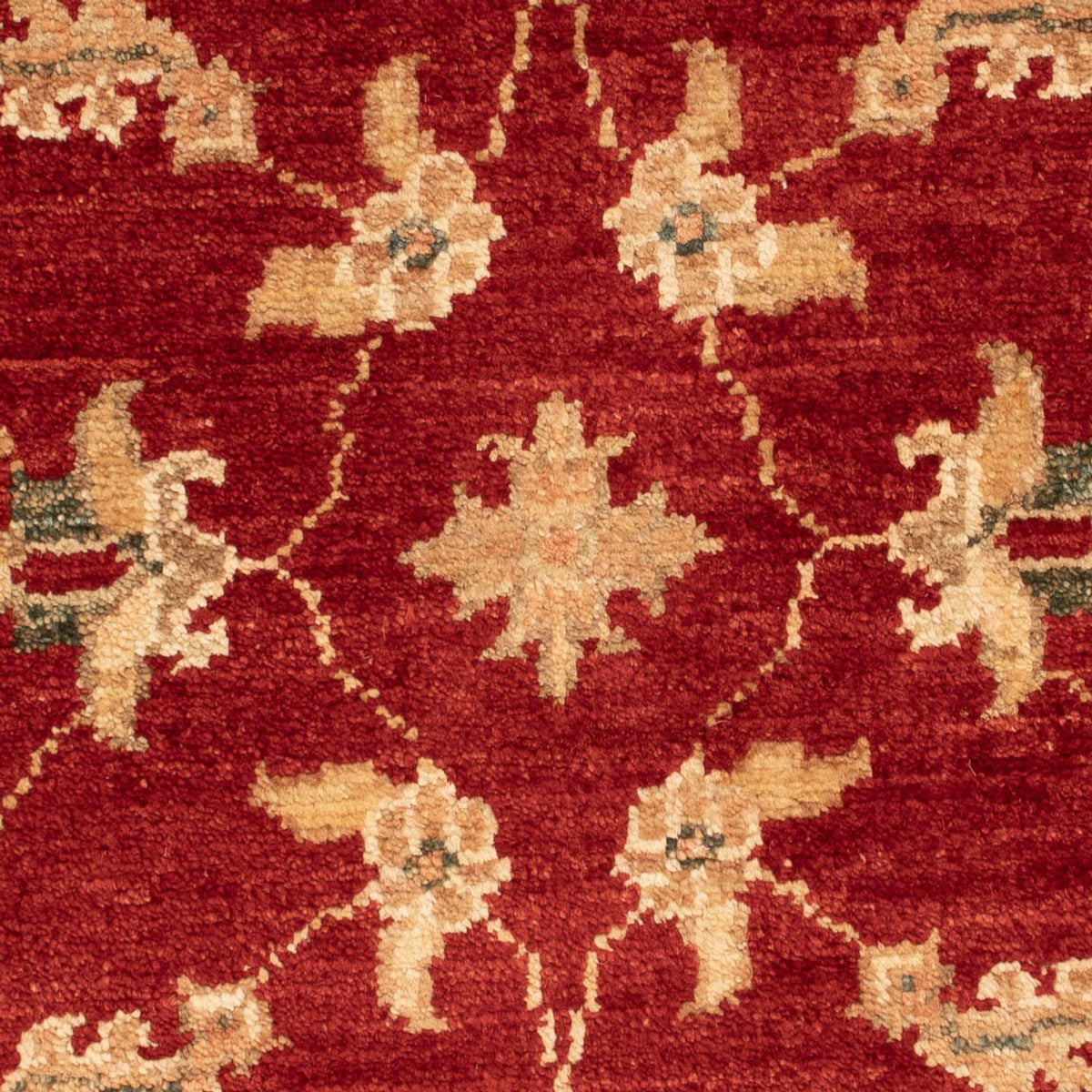 Ziegler Carpet - 71 x 52 cm - rød