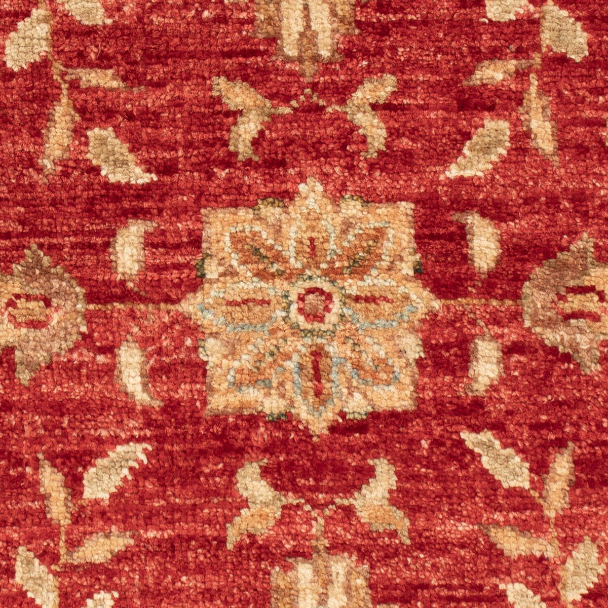 Ziegler Carpet - 68 x 50 cm - rød