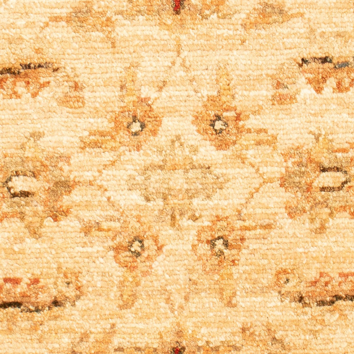 Ziegler Carpet - 70 x 50 cm - beige