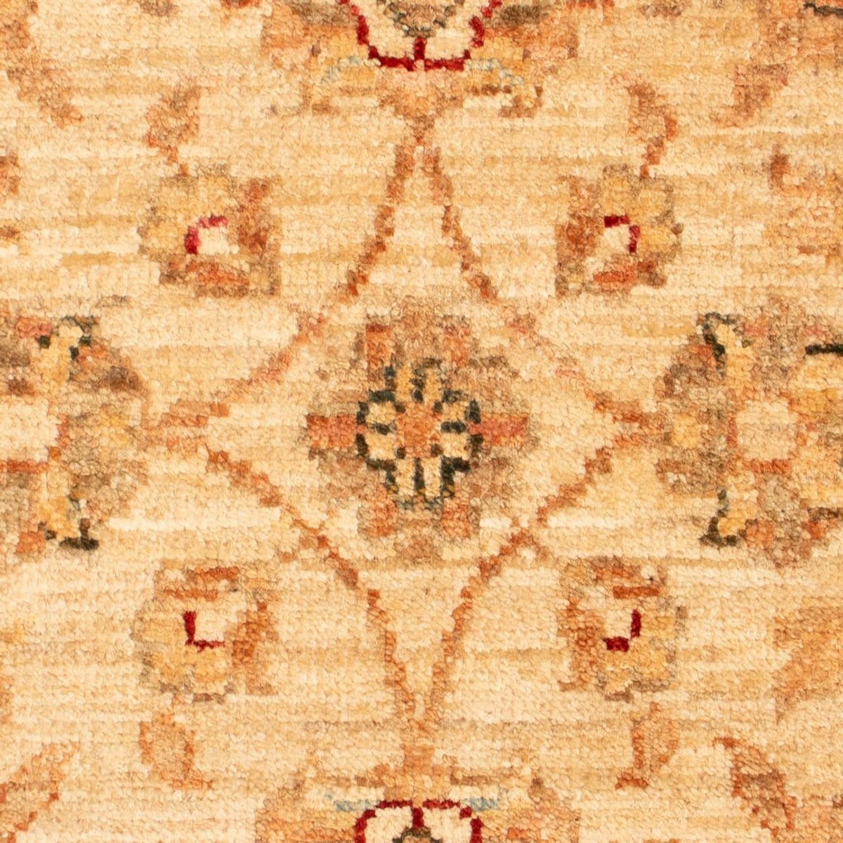 Ziegler Carpet - 71 x 51 cm - beige