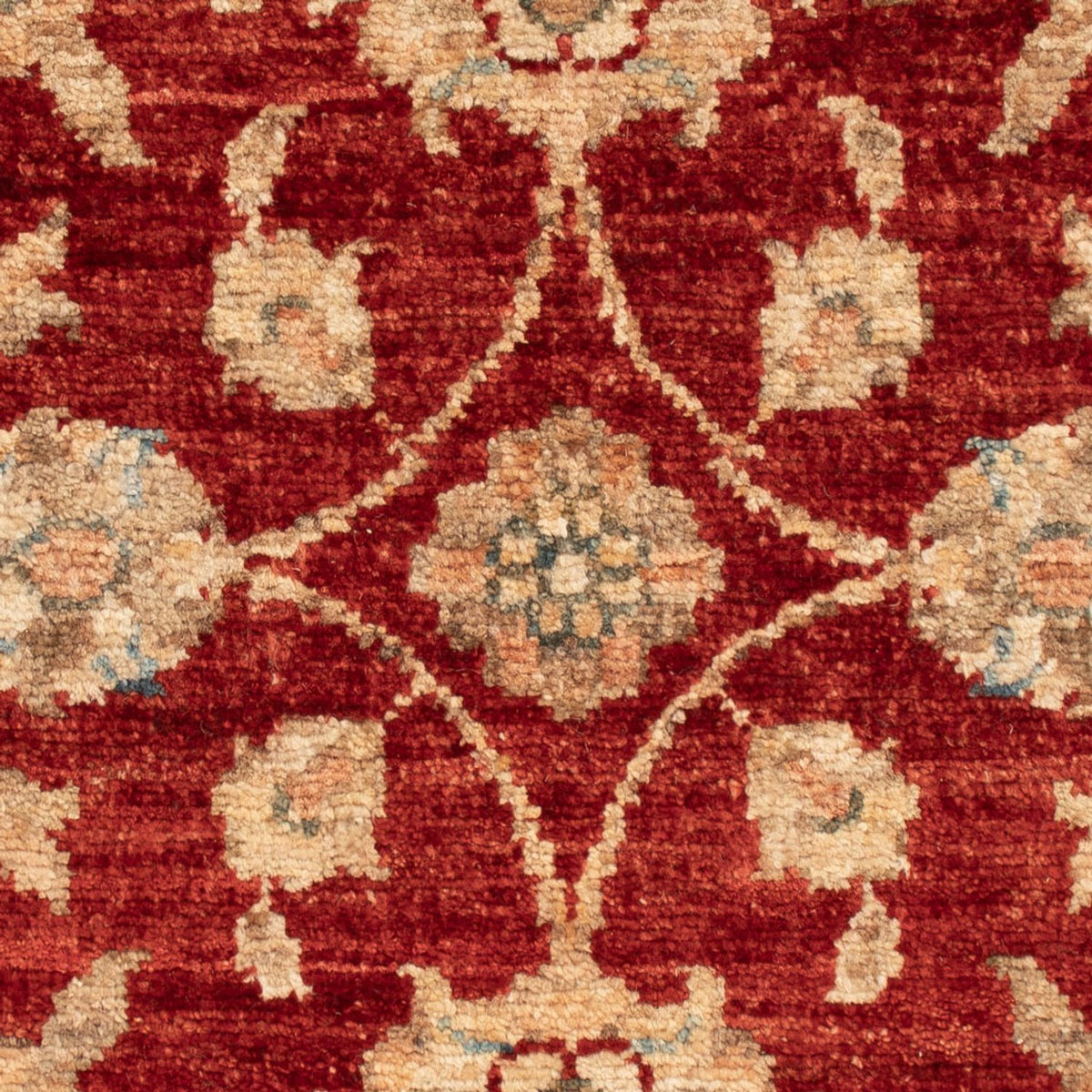 Ziegler Carpet - 65 x 50 cm - rød