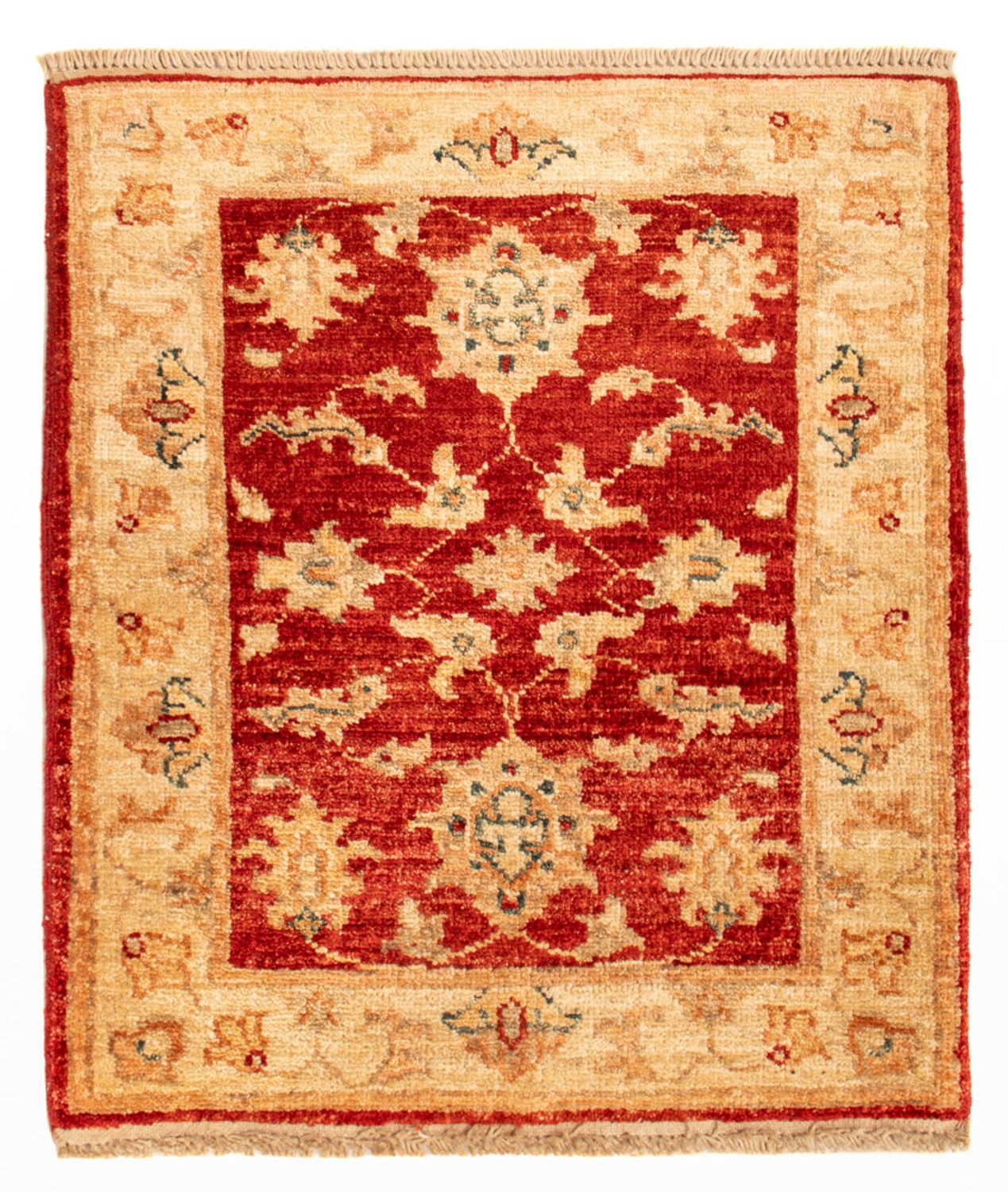 Ziegler Carpet - 61 x 43 cm - rød