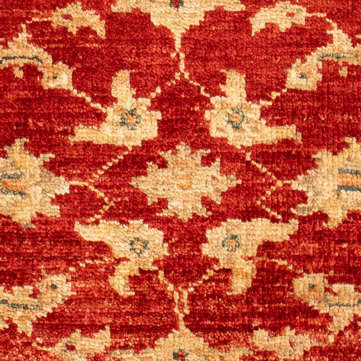 Ziegler Carpet - 61 x 43 cm - rød