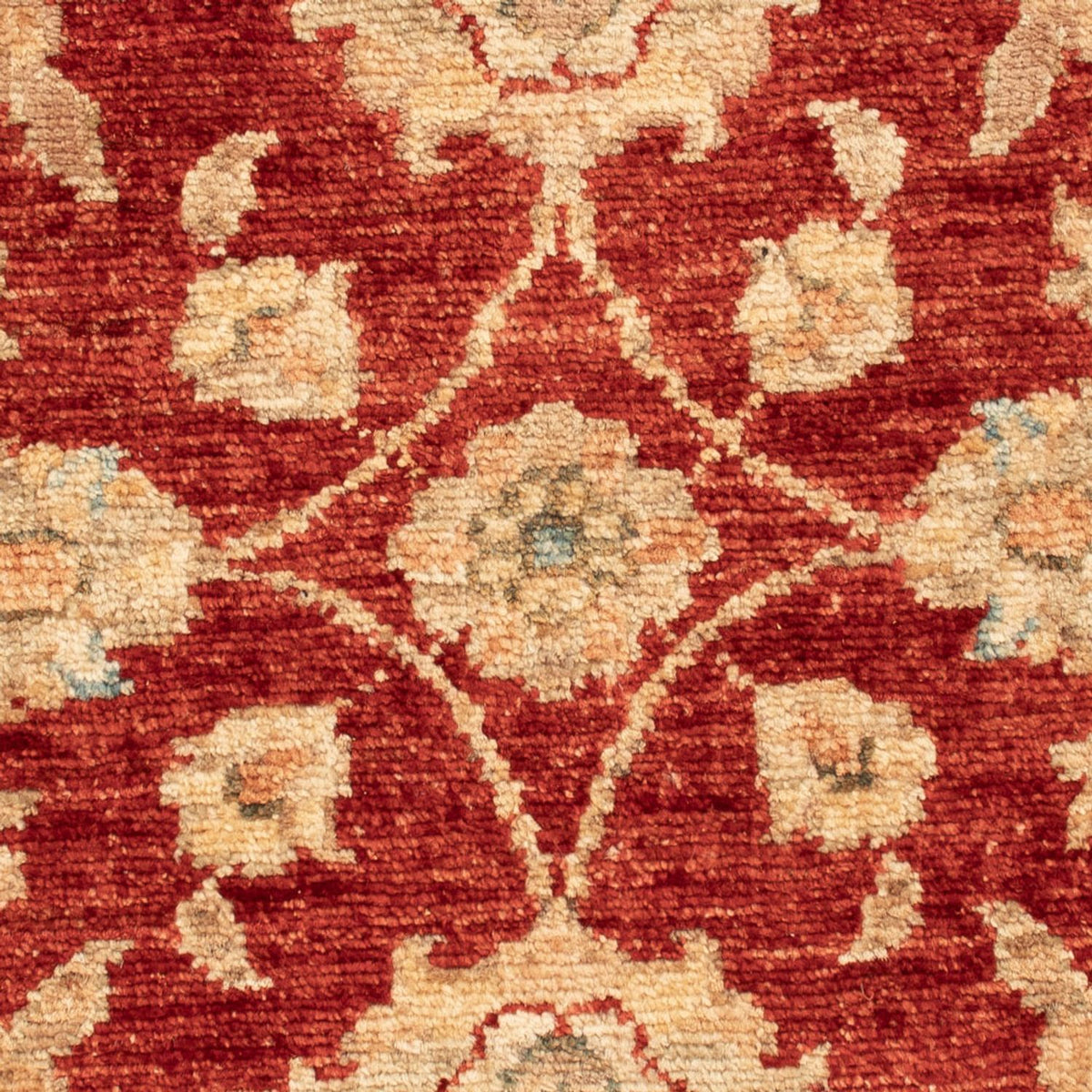 Ziegler Carpet - 68 x 53 cm - rød