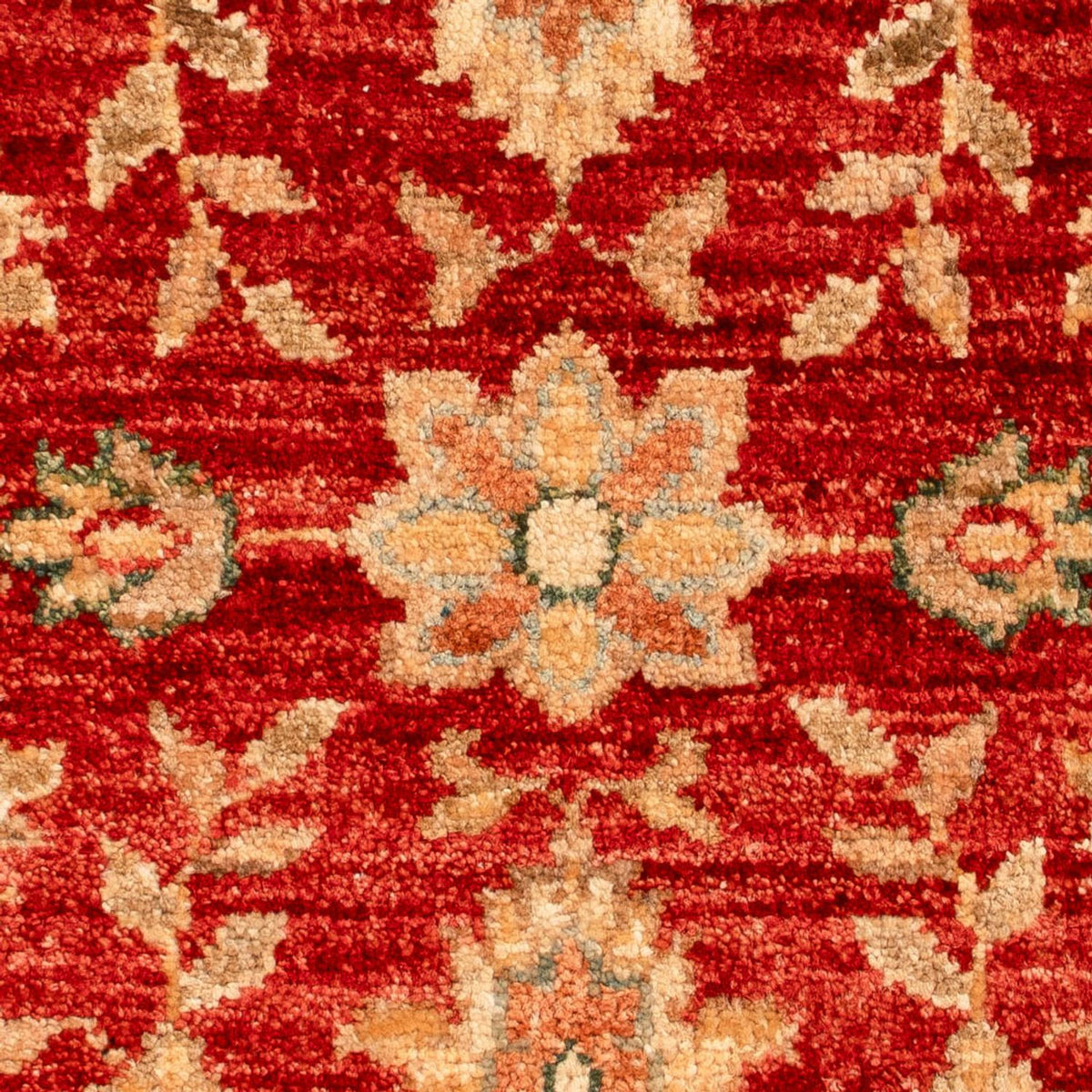 Ziegler Carpet - 64 x 51 cm - rød