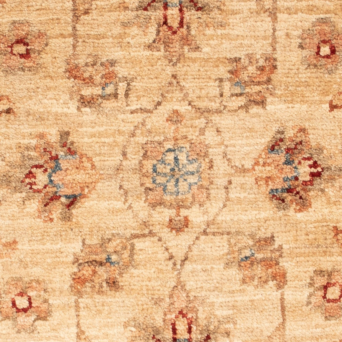 Ziegler Carpet - 70 x 51 cm - beige